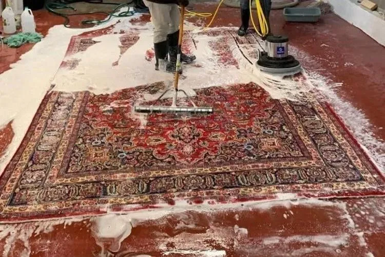 Suchen Sie nach einer professionellen Teppichreinigung Blankenfelde-Mahlow? Bei Teppich Service Berlin bieten wir Ihnen erstklassige Dienstleistungen, die Ihren Teppich tief reinigen und seine Lebensdauer verlängern. Vertrauen Sie auf unsere Expertise, um Ihre wertvollen Teppiche wieder zum Strahlen zu bringen.